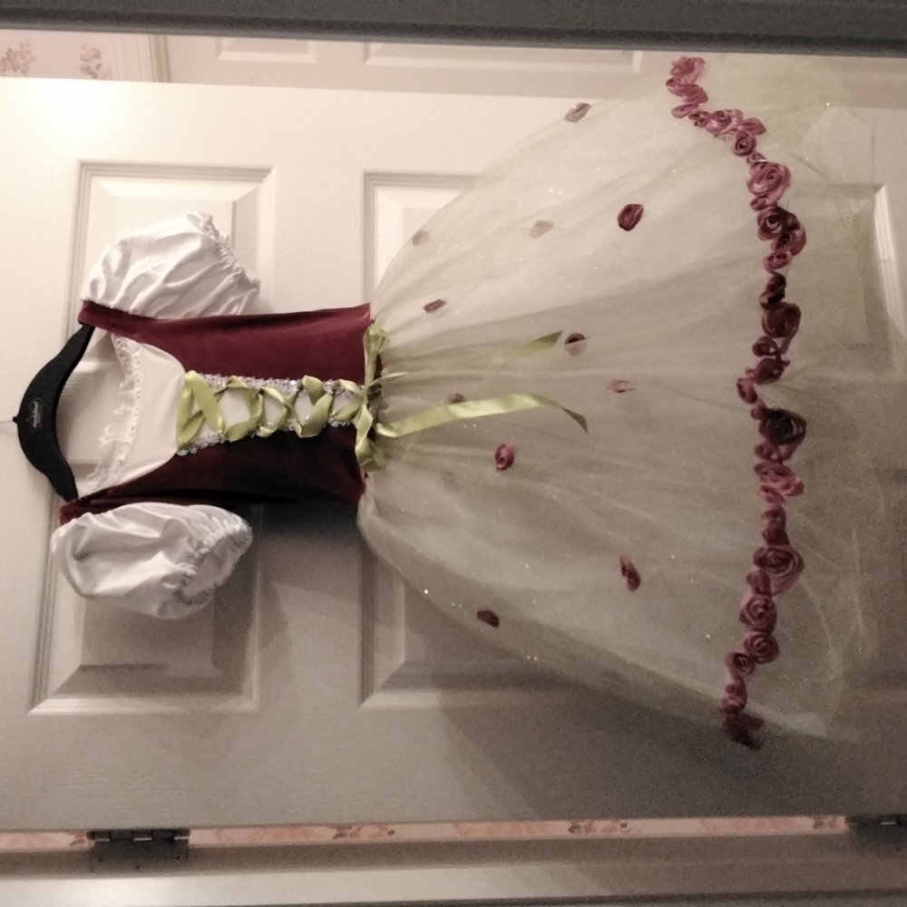 Revolution Dancewear Tulle Dance Outfit